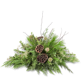 Green foliage arrangement with lotus pods on a black background