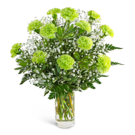 Green carnations and baby's breath in a clear glass vase