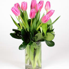Pink tulips arranged in a clear glass vase