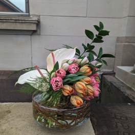 Tulip and anthurium arrangement in a glass bowl vase