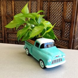 Potted green plant arranged in a turquoise toy pickup truck planter