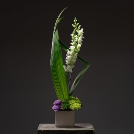 Tall floral arrangement with white blooms and green leaves in a square vase