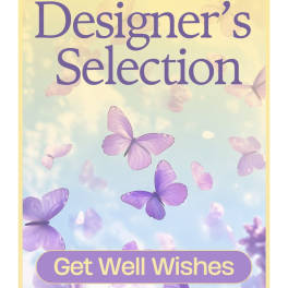 Designer's Selection Get Well Wishes