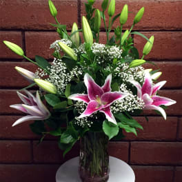 Tall glass vase of pink stargazer lilies with white baby's breath