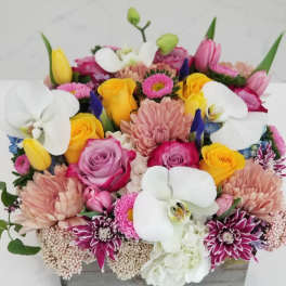 Bright Blooms Box