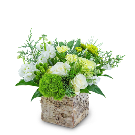 White and pale yellow floral arrangement in a birch box