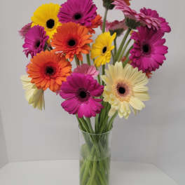 Colorful gerbera daisies in a clear glass vase