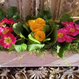 Rectangular planter with pink, white, and yellow flowers