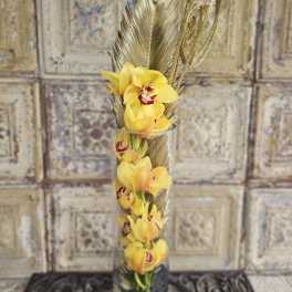 Yellow orchids in a tall glass vase with decorative feathers