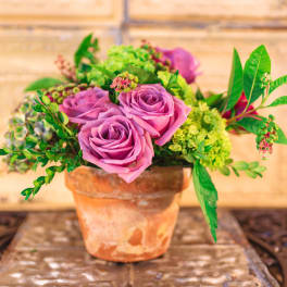 Pink roses arranged in a terracotta pot with green filler flowers