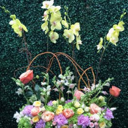 Mixed floral arrangement with orchids, roses, and carnations in a black container