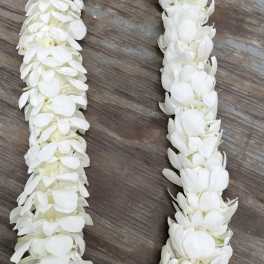 White flower lei laid in a U-shape on a wooden surface