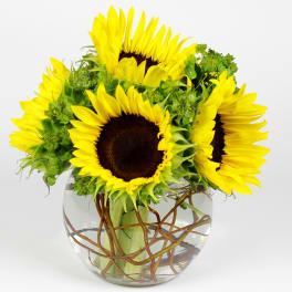 Sunflower bouquet in a round glass vase with twisted branches