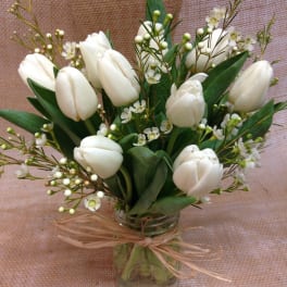 White tulips arranged in a glass vase with small white filler flowers