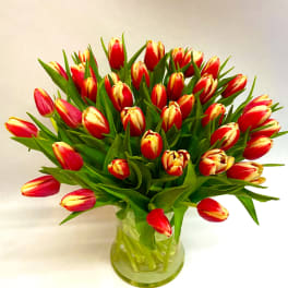 Red and yellow tulips arranged in a clear glass vase