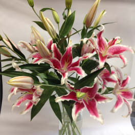 Pink stargazer lilies in a clear glass vase