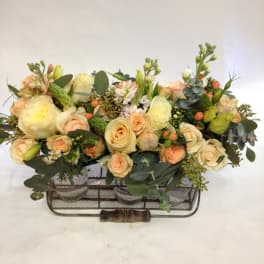 Low floral arrangement of cream and peach roses in a metal basket
