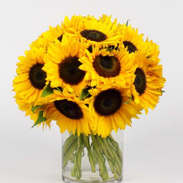 Bouquet of yellow sunflowers in a clear glass vase
