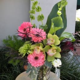 Pink gerbera daisies and green orchids in a clear square vase