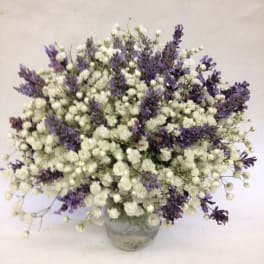 White and purple baby's breath arrangement in a glass vase