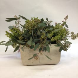 Green berry-like foliage in a rectangular stone planter