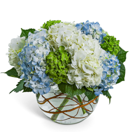 Blue and white hydrangea arrangement in a round glass vase