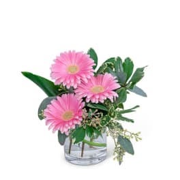 Pink gerbera daisies in a clear glass vase