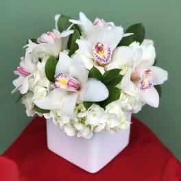 White orchids and hydrangeas arranged in a white box