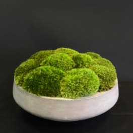 Round bowl filled with bright green moss mounds