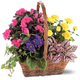 Basket of pink and yellow flowering plants with purple blooms