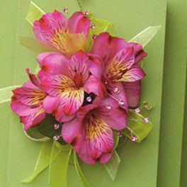 Pink alstroemeria bouquet with green ribbon on a green card