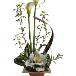 White calla lilies in a wooden container with curved ribbon accents