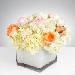 Low arrangement of white hydrangeas with peach and pink roses in a square glass vase