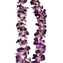 Purple orchid lei on a white background