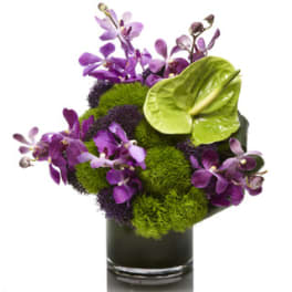 Purple orchids arranged with green and purple moss in a black vase