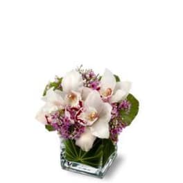 White orchids and purple flowers in a square glass vase