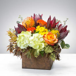 Compact arrangement of orange and yellow blooms with pale hydrangeas in a wooden cube vase