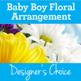 Baby boy floral arrangement with yellow and white daisies
