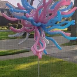 Pink and blue balloon sculpture on a yard stake