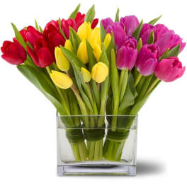 Bouquet of red, yellow, and pink tulips in a clear glass vase