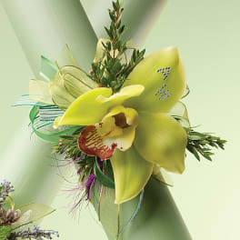 Yellow orchid corsage with ribbon and greenery
