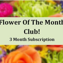 Flower of the Month Club 3 Month Subscription text over a blurred floral background