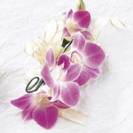Purple and white orchid corsage with a ribbon tie