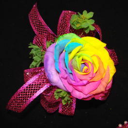 Rainbow-colored rose with pink glitter ribbon on a black background