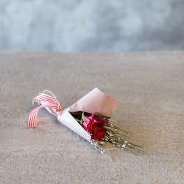 Single red rose wrapped in pale pink paper with a striped ribbon