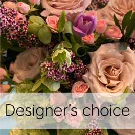 Designer's Choice - $600 to $900