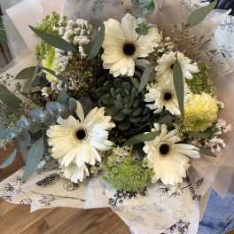 Bouquet of white gerbera daisies with a green succulent center, wrapped in printed tissue and cellophane.