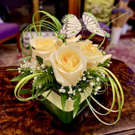 Cream roses in a square vase with a butterfly decoration