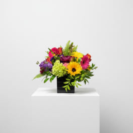 Low arrangement of bright mixed flowers in a black cube vase
