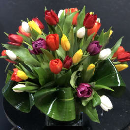Bouquet of multicolored tulips with broad green leaves